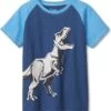 Hatley Kids Big Dino Glow In The Dark Raglan Tee (Toddler/Little Kids/Big Kids) -Fashion Cutting Edge 71EiMJchfcL. AC SR736920